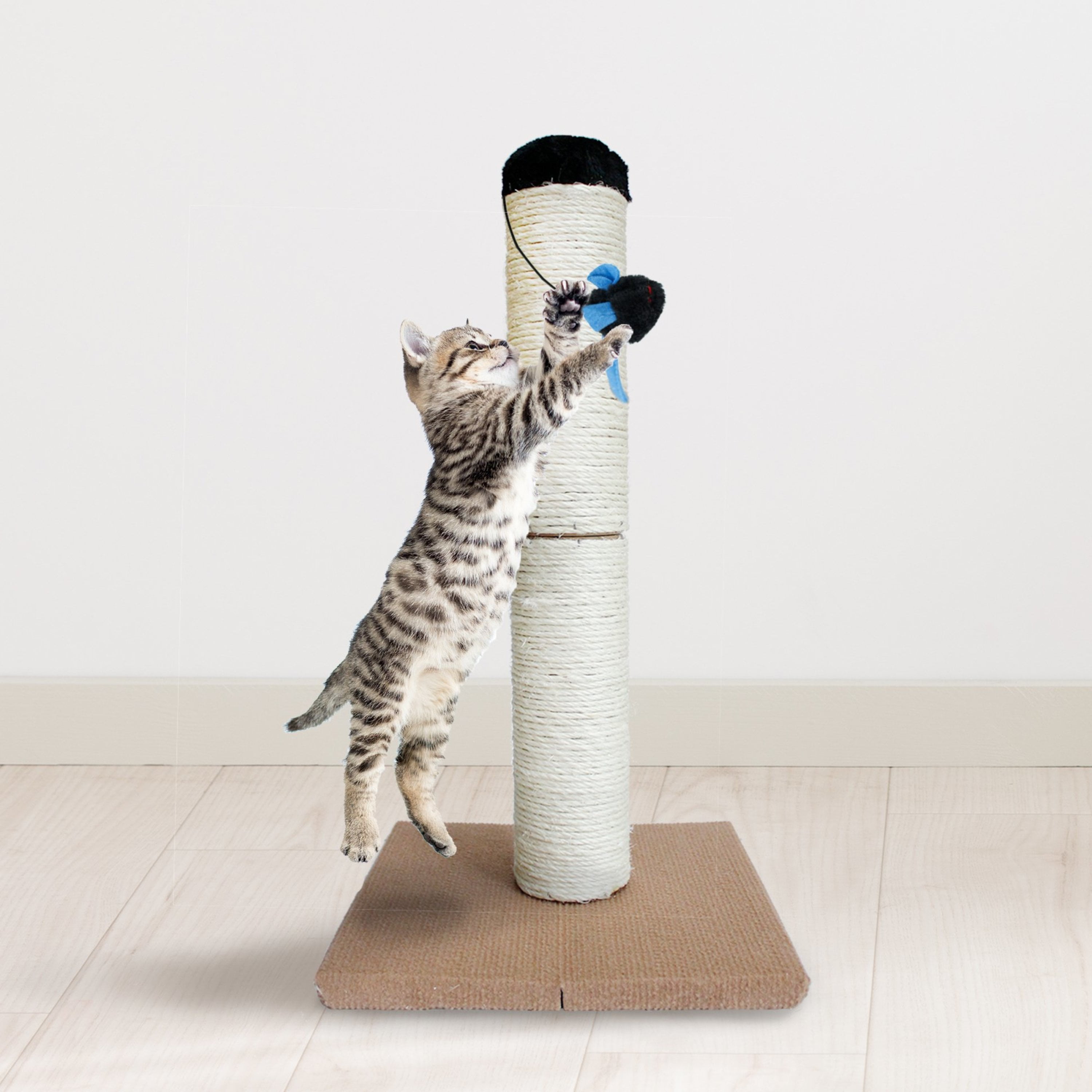 Indoor Cat Scratching Post - 22