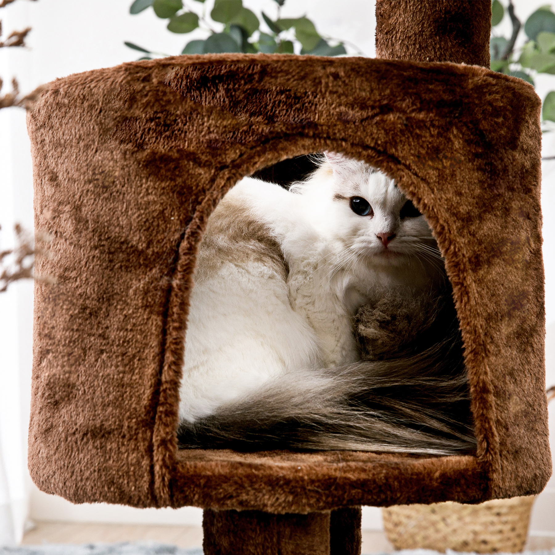 Padded Platform Cat Tree with Scratching Posts