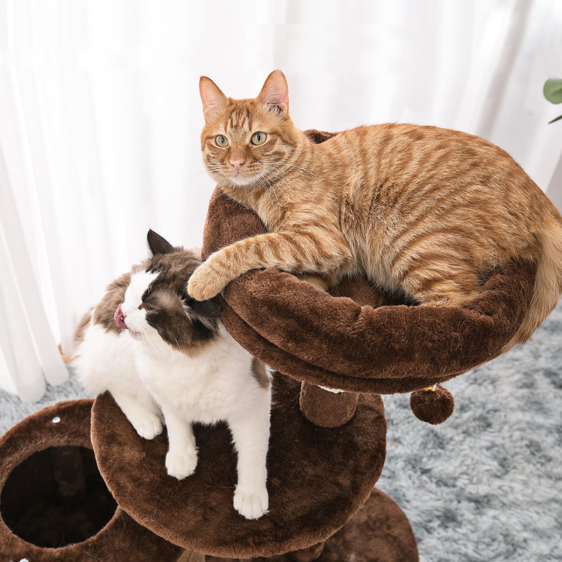 Padded Platform Cat Tree with Scratching Posts