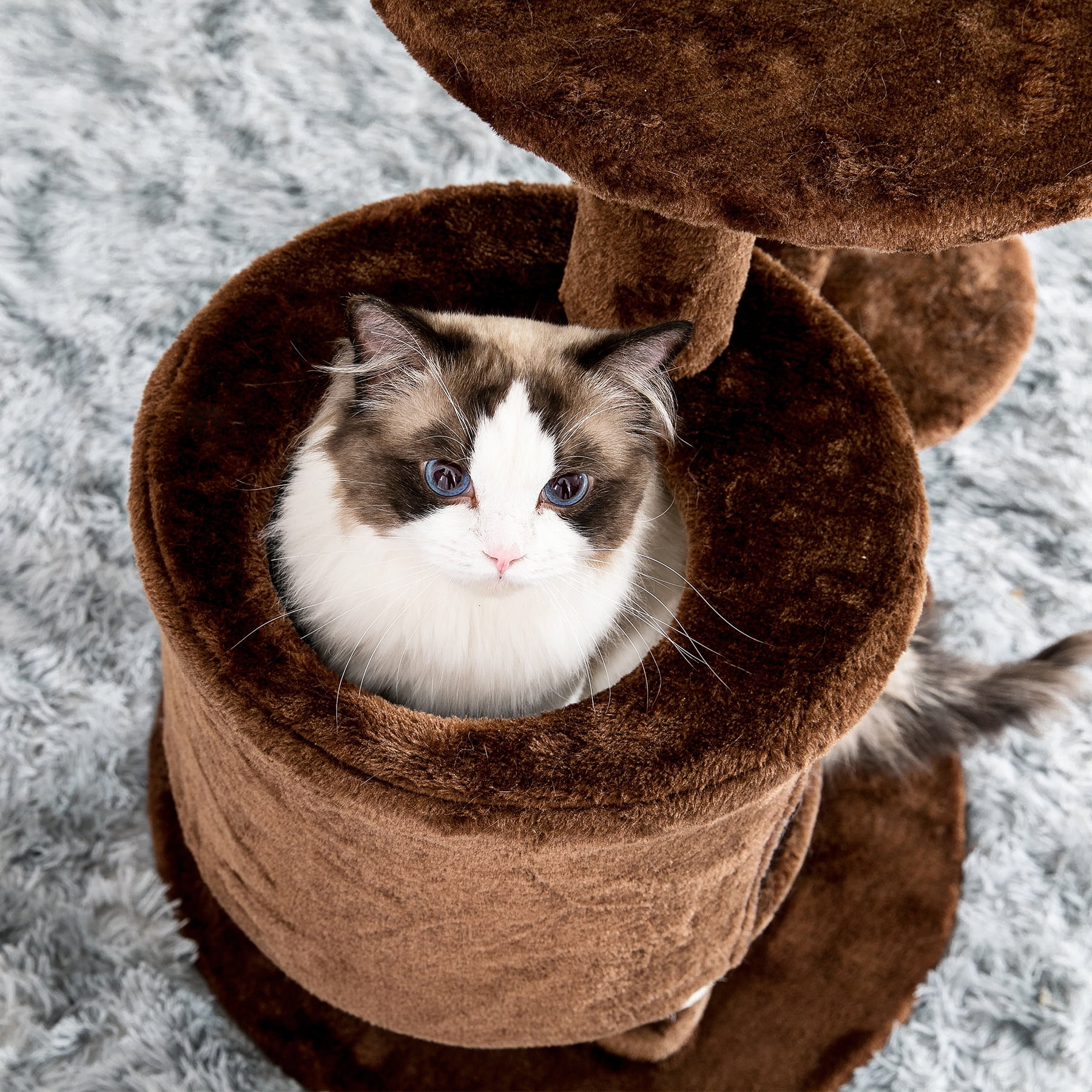 Padded Platform Cat Tree with Scratching Posts