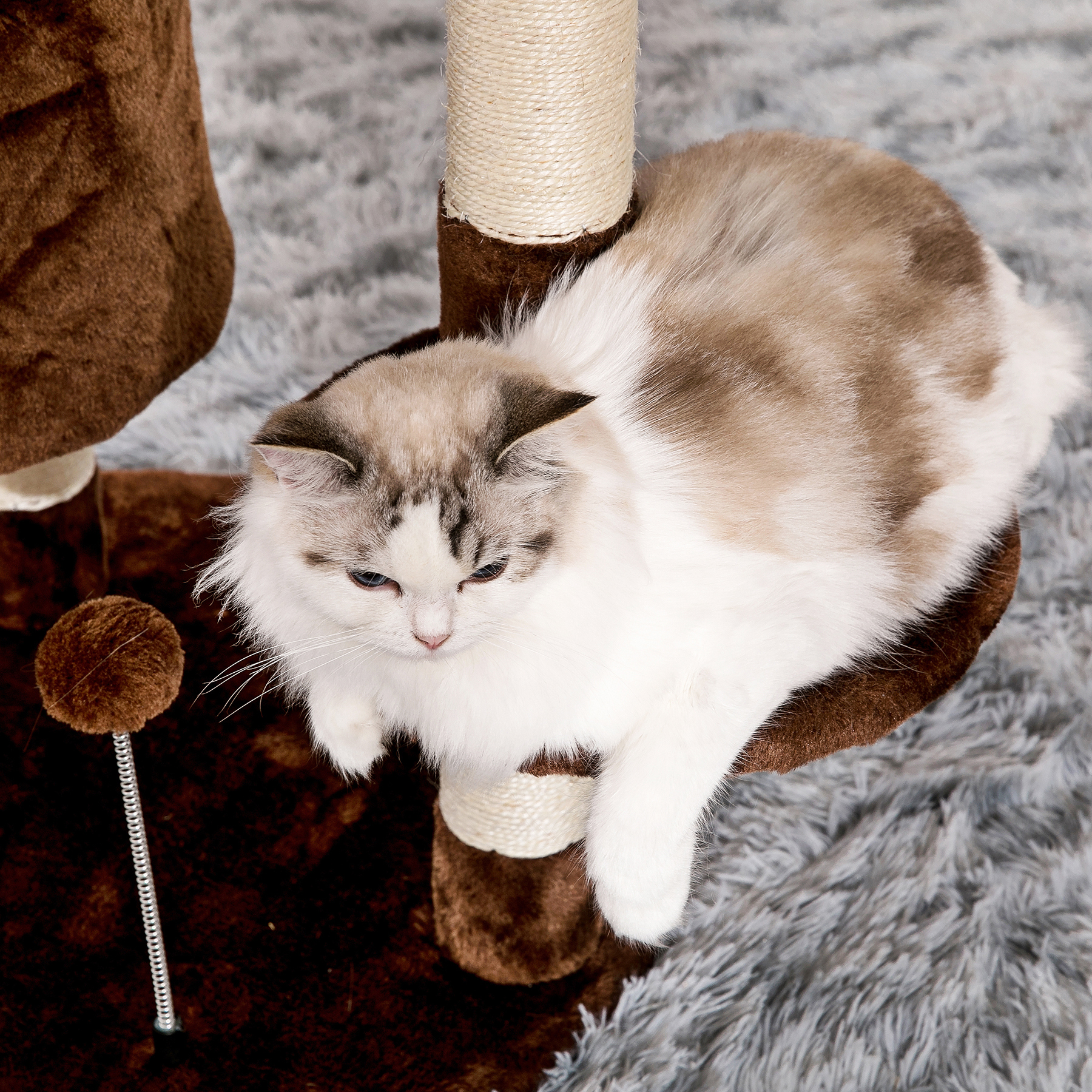 Padded Platform Cat Tree with Scratching Posts