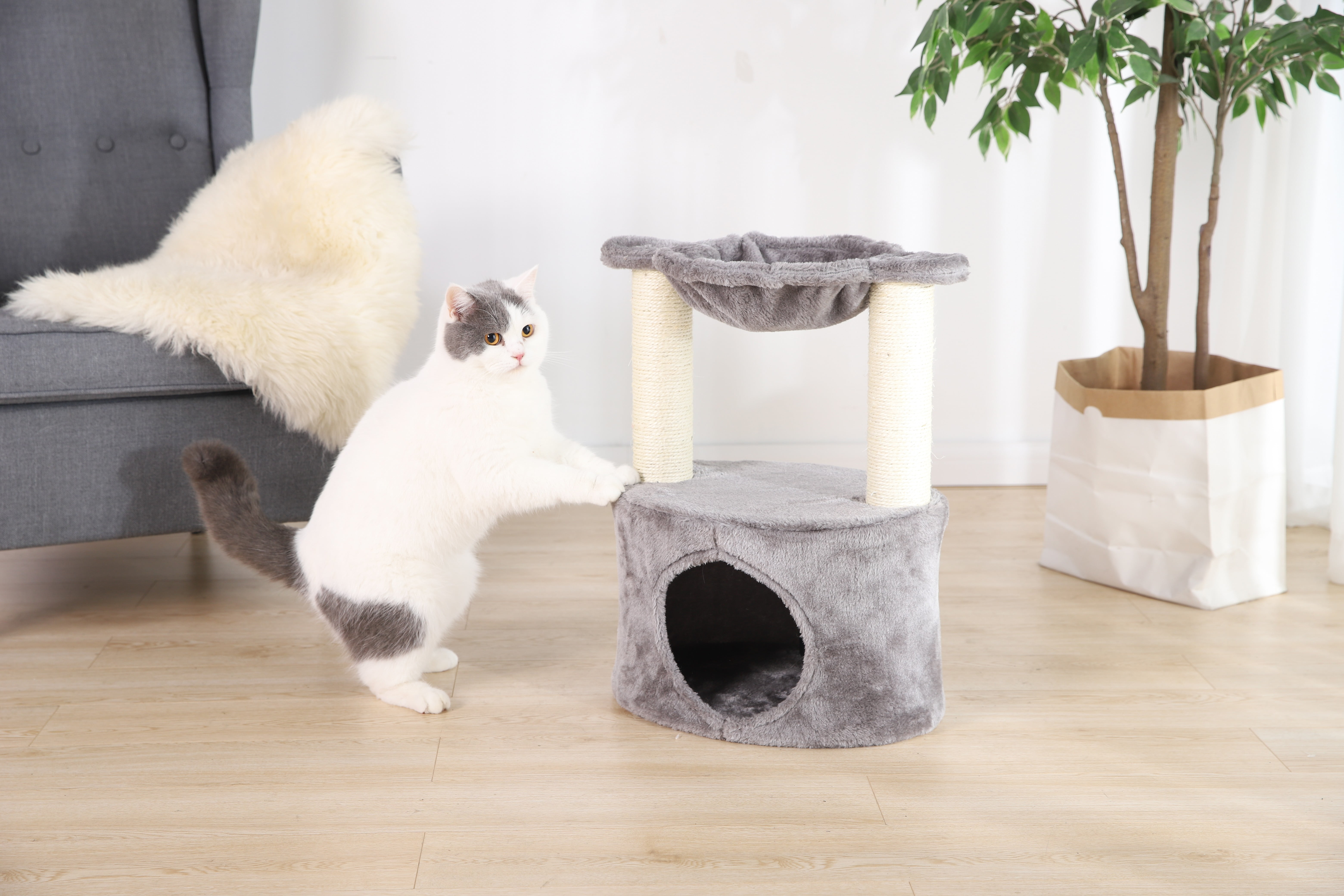 Gray 2-Level Cat Condo with Hammock