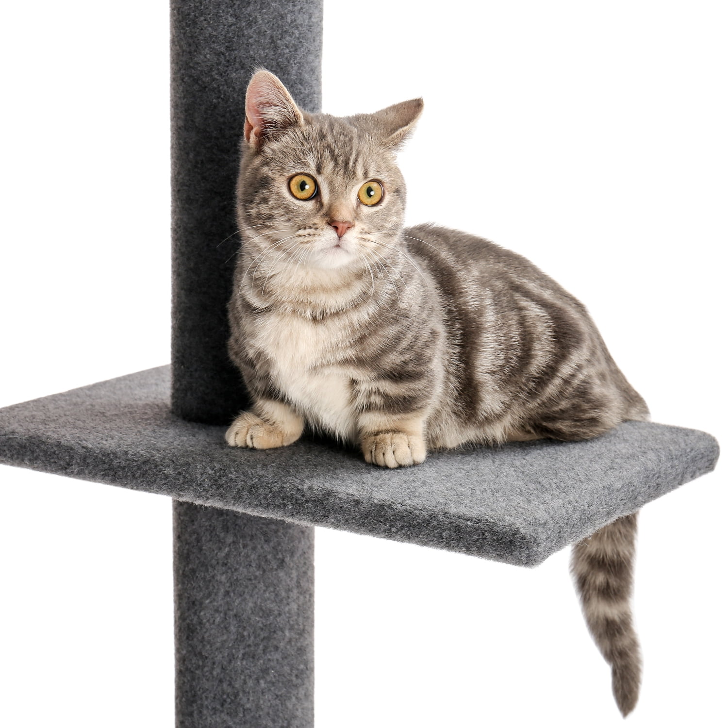 Gray 4-Tier Floor-to-Ceiling Cat Climbing Tree
