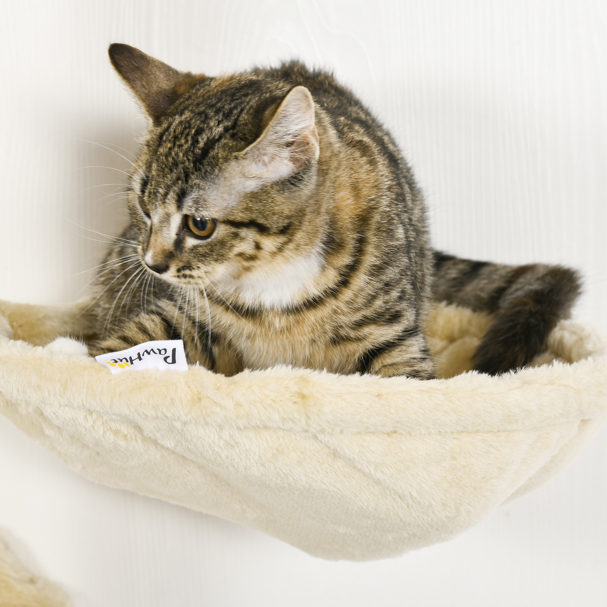 Wall-mounted Modern Cat Tree with Hammock