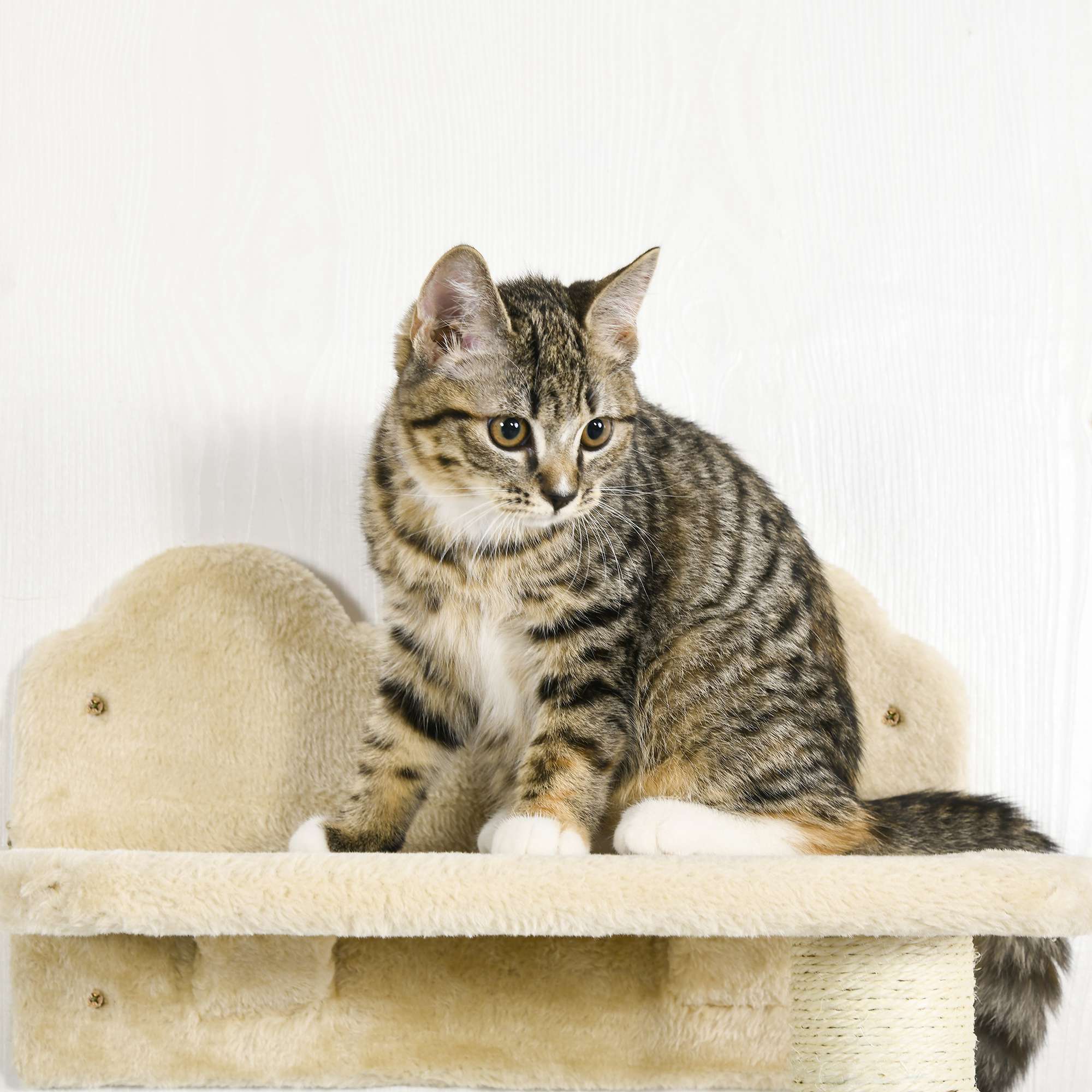 Wall-mounted Modern Cat Tree with Hammock