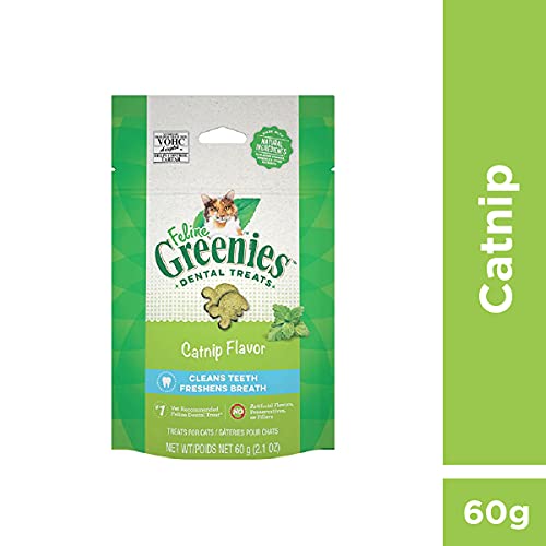 Catnip Feline Greenies Dental Treats for Cats