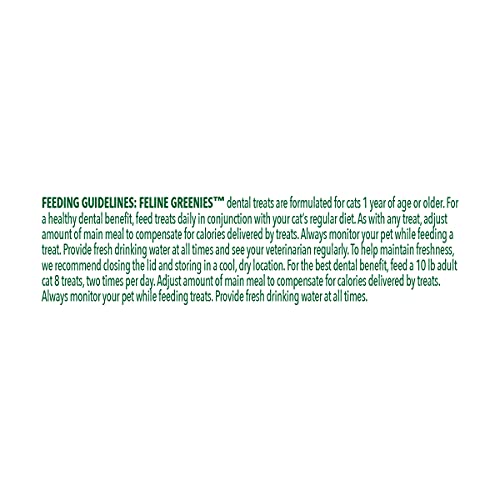 Catnip Feline Greenies Dental Treats for Cats