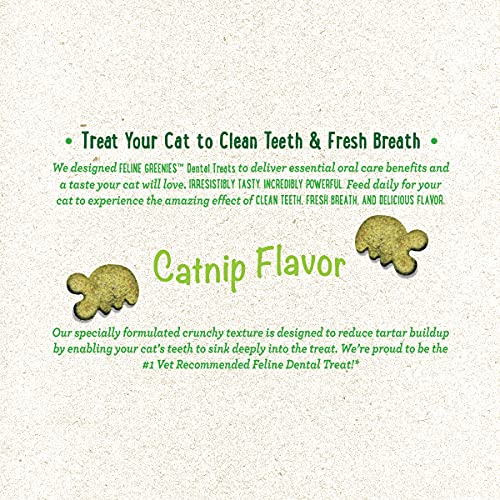 Catnip Feline Greenies Dental Treats for Cats