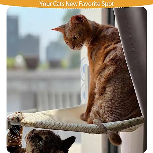Foldable Cat Window Perch with Suction Cups