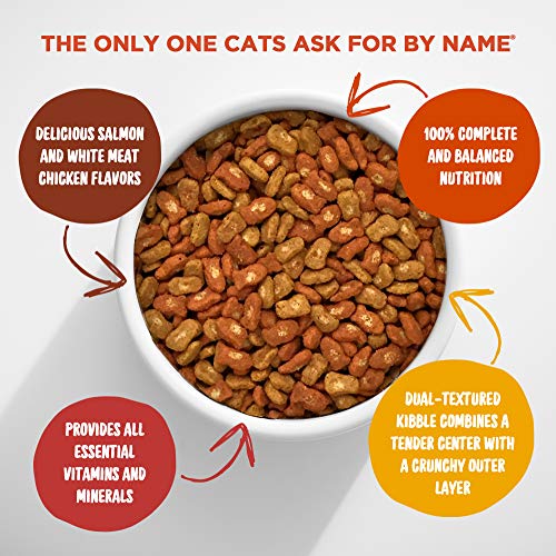 Salmon & Chicken Cat Food, 13.5 lb