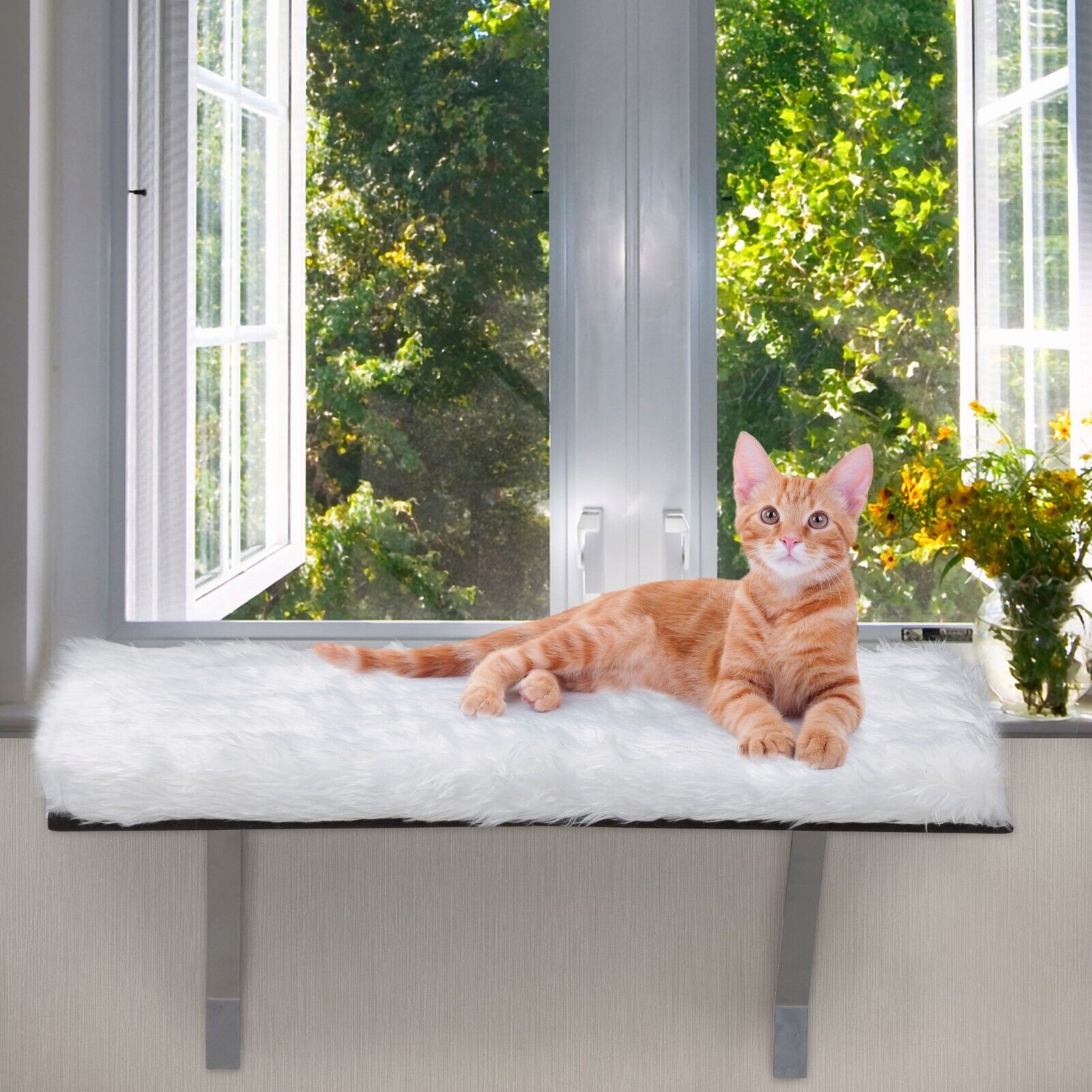Heavy-Duty Wall-Mounted Cat Perch House