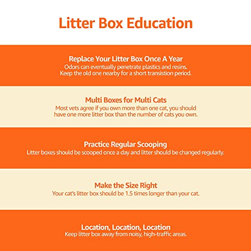 Tall Open Top Cat Litter Box with Scoop