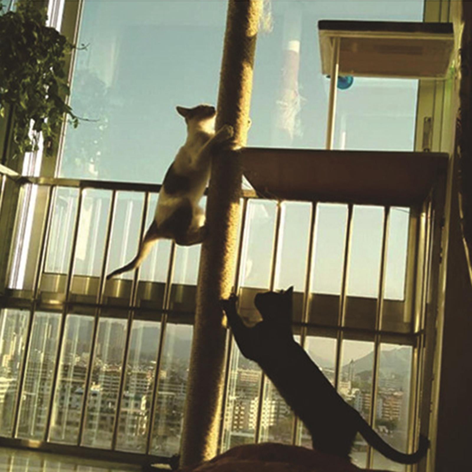 Brown Cat Scratch Post Refill Pole 30cm