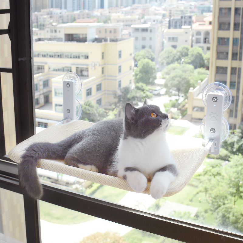 Foldable Cordless Cat Window Bed