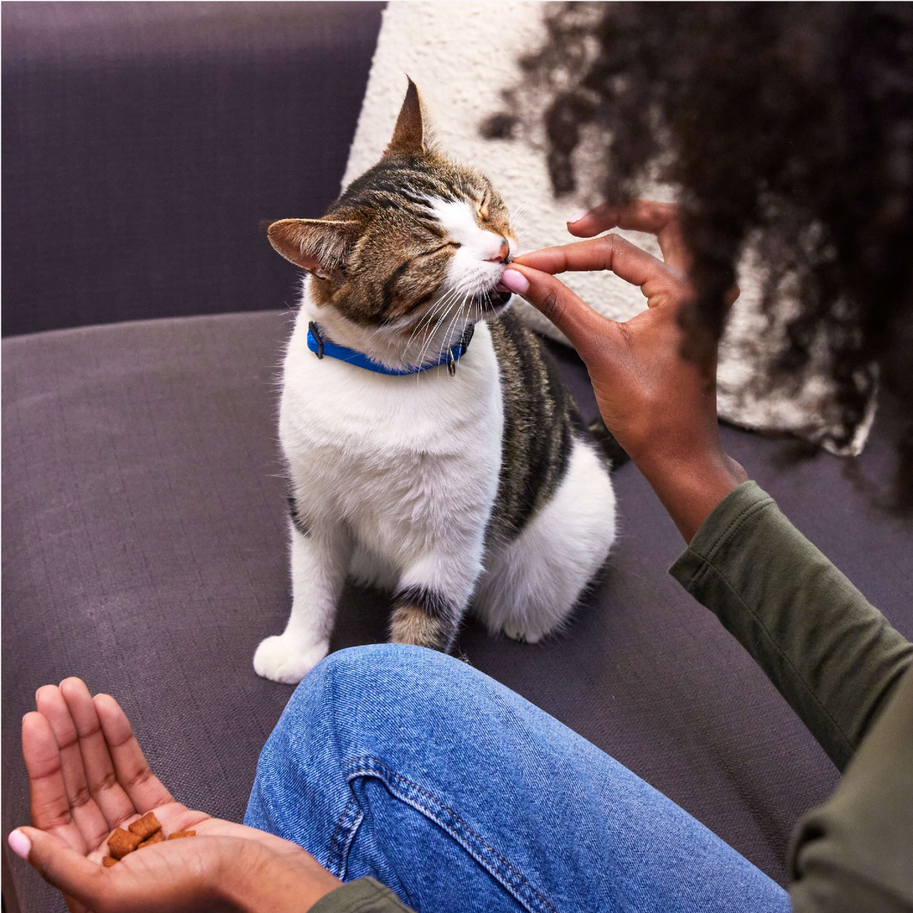 Tempting Tuna Cat Treats, 6.3 oz