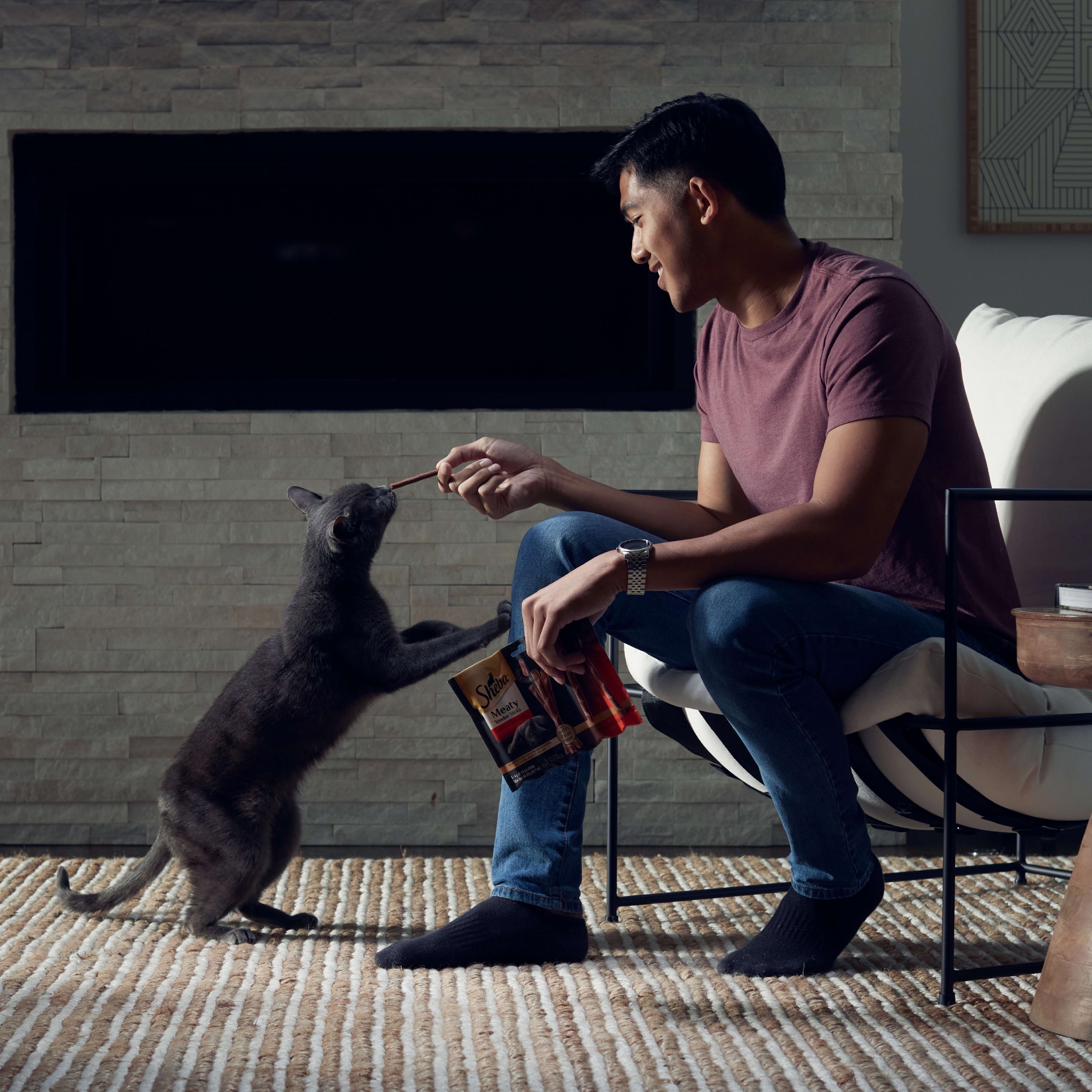 SHEBA Chicken Flavor Cat Treats (5 pack)