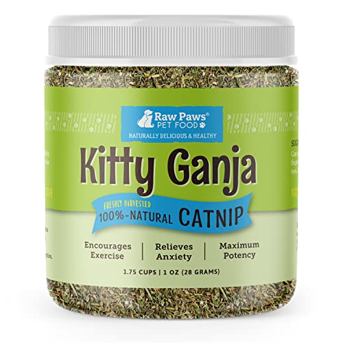 Organic Catnip Refill for Toys & Treats