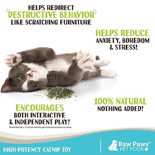 Organic Catnip Refill for Toys & Treats