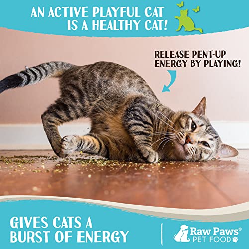 Organic Catnip Refill for Toys & Treats