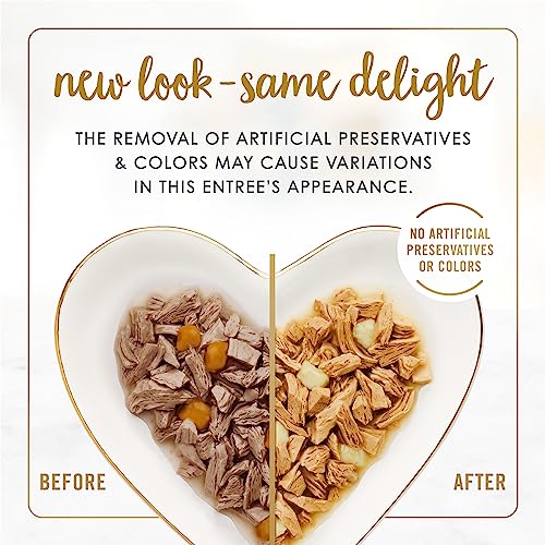 Fancy Feast Delights Cheddar Grilled Variety Pack