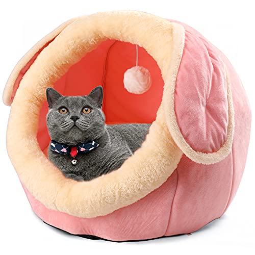 Indoor Cat House and Bed with Cushioned Pillow