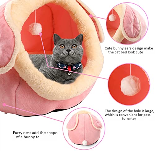 Indoor Cat House and Bed with Cushioned Pillow
