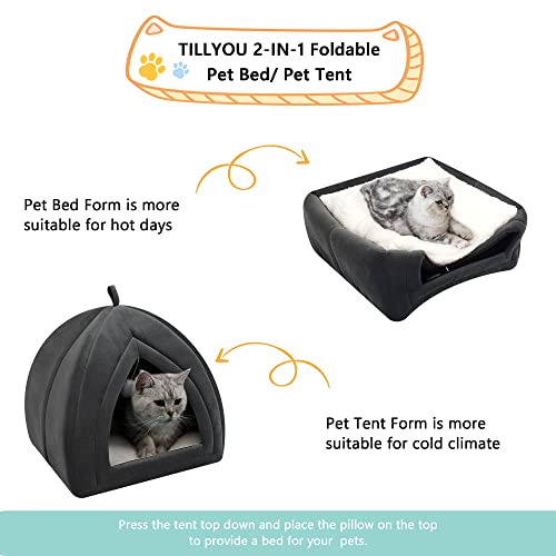 Indoor Cat House with Removable Cushioned Pillow
