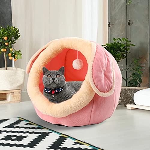 Indoor Cat House and Bed with Cushioned Pillow