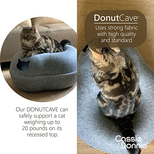 Premium Eco-Friendly Cat Bed for 2