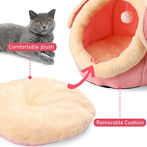 Indoor Cat House and Bed with Cushioned Pillow