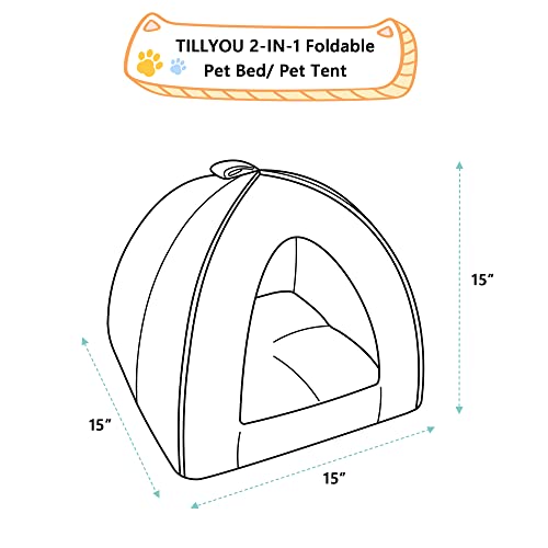 Indoor Cat House with Removable Cushioned Pillow