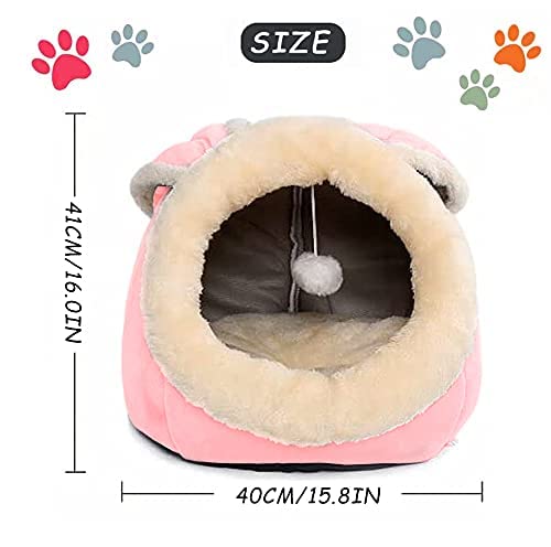 Indoor Cat House and Bed with Cushioned Pillow