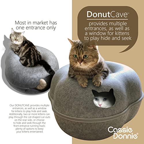 Premium Eco-Friendly Cat Bed for 2