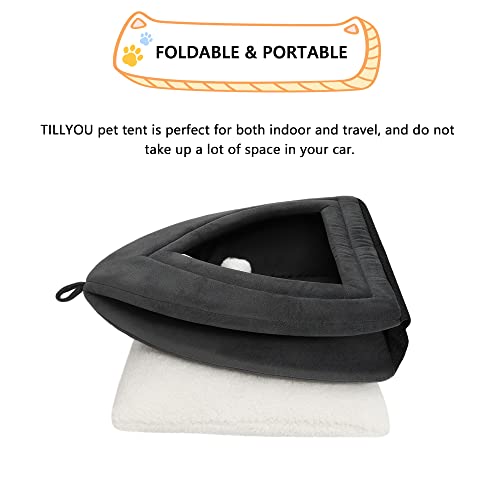 Indoor Cat House with Removable Cushioned Pillow