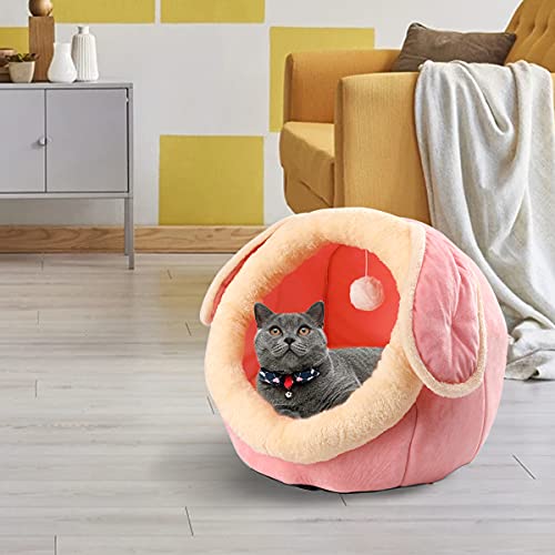 Indoor Cat House and Bed with Cushioned Pillow
