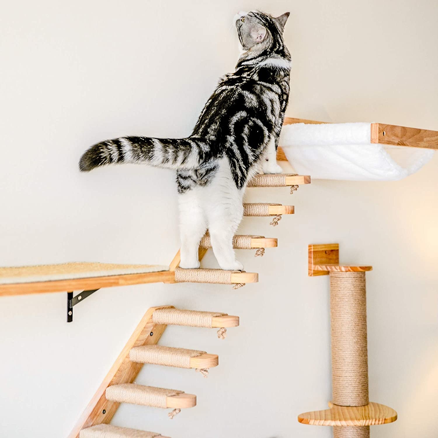 Wall-mounted Cat Hammock Bed & Perch Set