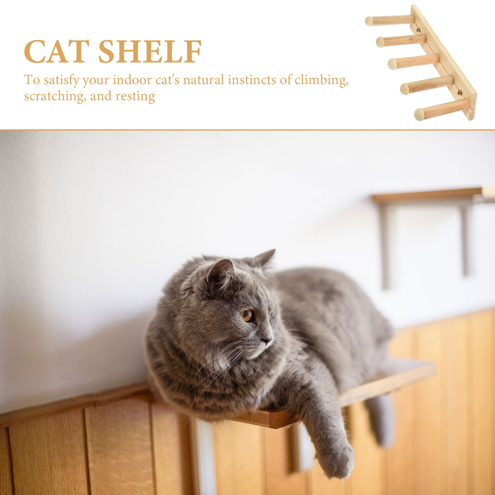 Cats Wall Climbing Steps & Perch