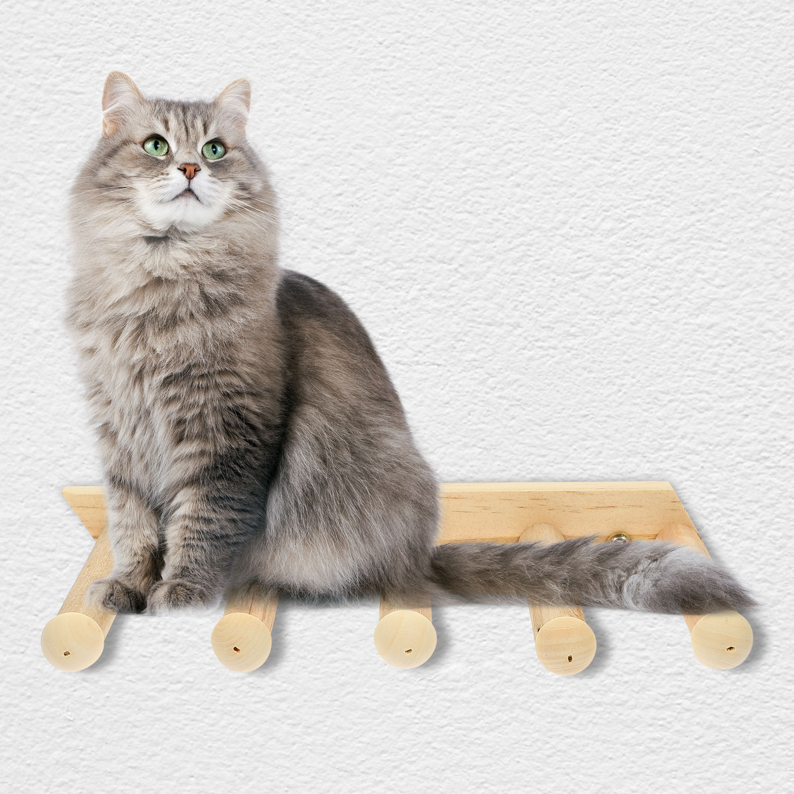 Cats Wall Climbing Steps & Perch