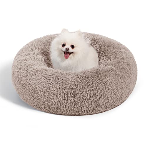 Fluffy Cat Bed with Joint Relief