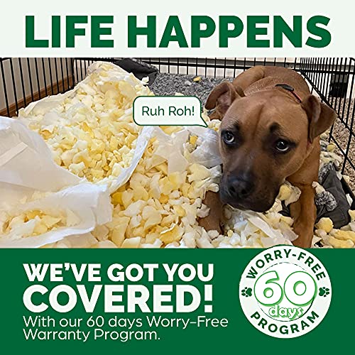 Furhaven Jumbo Orthopedic Cat Bed with Washable Cover