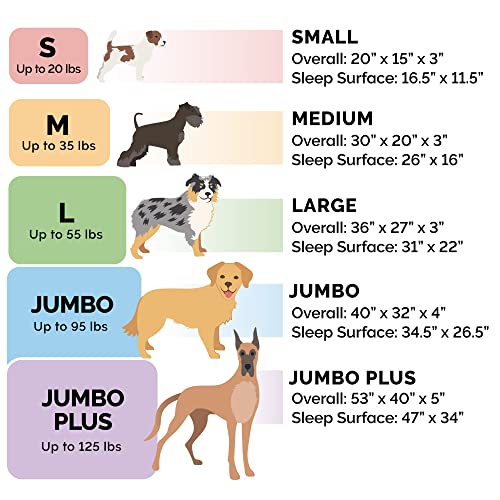 Furhaven Jumbo Orthopedic Cat Bed with Washable Cover