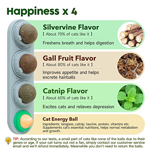 Catnip and Silvervine Ball Toy Set