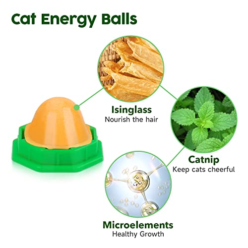 Catnip Energy Balls - 6 Pack