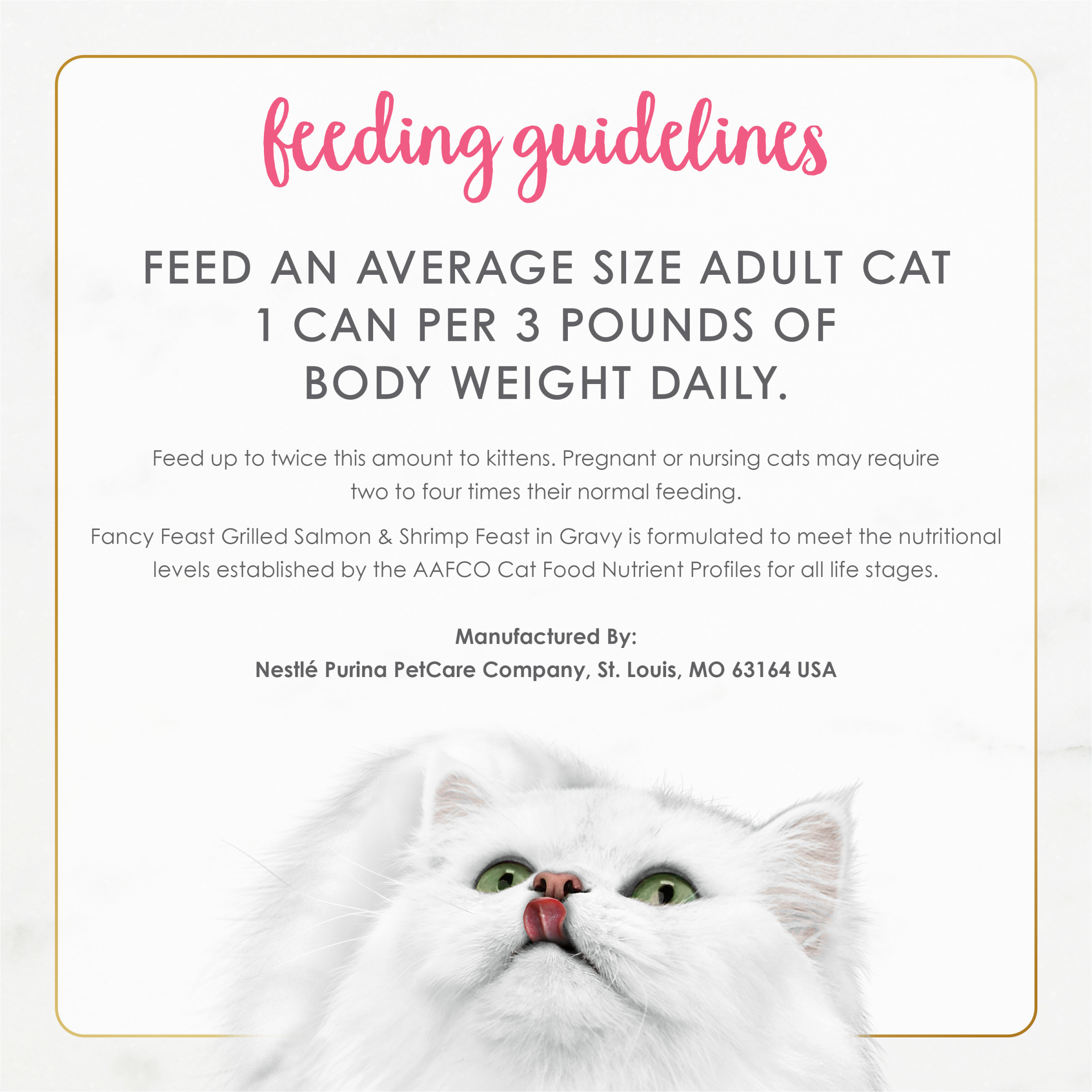 Salmon & Shrimp Gravy Cat Food Can