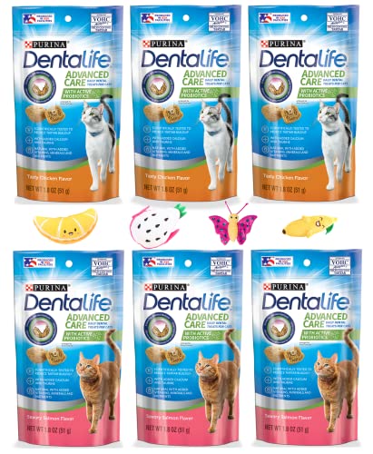 Catnip Toy & Dental Treats Variety Pack