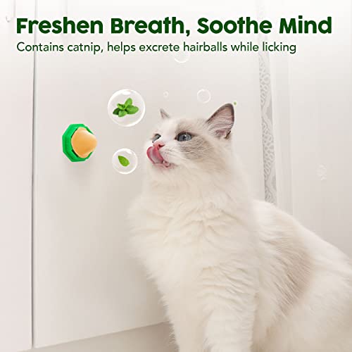 Catnip Energy Balls - 6 Pack