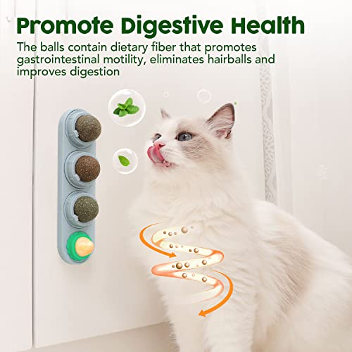 Catnip and Silvervine Ball Toy Set