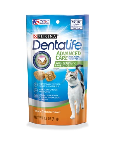 Catnip Toy & Dental Treats Variety Pack