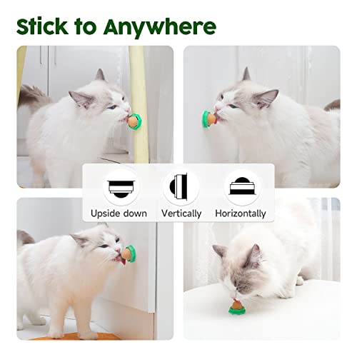 Catnip Energy Balls - 6 Pack