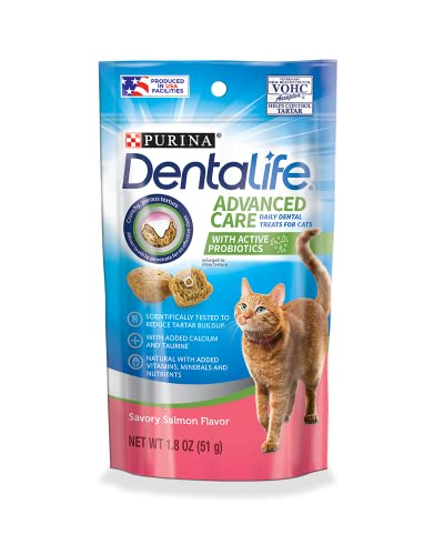 Catnip Toy & Dental Treats Variety Pack
